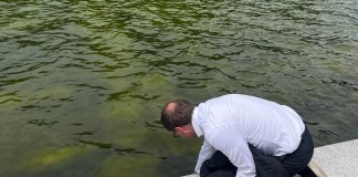 Una persona revisa el agua del estanque reflectante situado frente al Monumento a Abraham Lincoln, que se llenó de algas y tiñeron de verde el agua. Foto La Hora: EFE