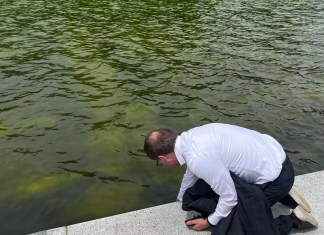 Una persona revisa el agua del estanque reflectante situado frente al Monumento a Abraham Lincoln, que se llenó de algas y tiñeron de verde el agua. Foto La Hora: EFE