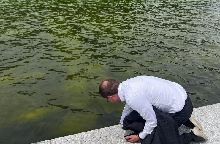 Esto se sabe del levantamiento de pintura del estanque reflectante en Washington por tratamiento contra las algas Una persona revisa el agua del estanque reflectante situado frente al Monumento a Abraham Lincoln, que se llenó de algas y tiñeron de verde el agua. Foto La Hora: EFE