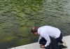 Esto se sabe del levantamiento de pintura del estanque reflectante en Washington por tratamiento contra las algas Una persona revisa el agua del estanque reflectante situado frente al Monumento a Abraham Lincoln, que se llenó de algas y tiñeron de verde el agua. Foto La Hora: EFE
