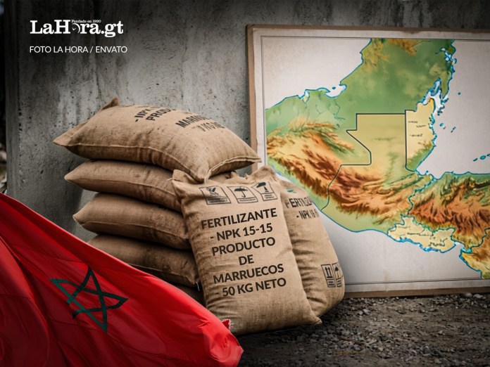317b0303-f9c7-4542-b684-6366c1511730 Fertilizantes donados por Marruecos a Guatemala serán distribuidos de forma sectorial luego de un analisis de sus beneficios para el suelo nacional.