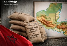 Fertilizantes donados por Marruecos a Guatemala serán distribuidos de forma sectorial luego de un analisis de sus beneficios para el suelo nacional.
