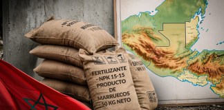 Fertilizantes donados por Marruecos a Guatemala serán distribuidos de forma sectorial luego de un analisis de sus beneficios para el suelo nacional.