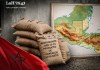 Fertilizantes donados por Marruecos a Guatemala serán distribuidos de forma sectorial luego de un analisis de sus beneficios para el suelo nacional.