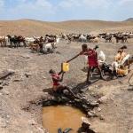 La mitad de la infancia mundial afronta al menos tres amenazas climáticas, según Unicef