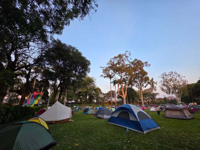 El Zoológico La Aurora invita a Noche de Campamento en el Zoo. Foto: Zoológico La Aurora. El Zoológico La Aurora invita a Noche de Campamento en el Zoo. Foto: Zoológico La Aurora.