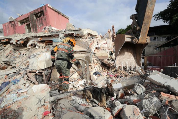Un brigadista y un perro rescatistas inspeccionan en los escombros de un edificio que colapsó por los terremotos, en La Guaira, Venezuela. Foto: EFE.