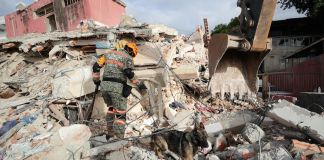 Un brigadista y un perro rescatistas inspeccionan en los escombros de un edificio que colapsó por los terremotos, en La Guaira, Venezuela. Foto: EFE.