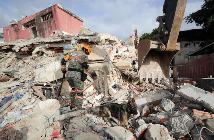 Un brigadista y un perro rescatistas inspeccionan en los escombros de un edificio que colapsó por los terremotos, en La Guaira, Venezuela. Foto: EFE.