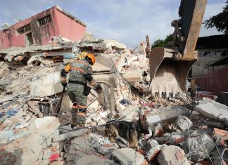 NASA estima casi 60 mil edificios dañados tras doble terremoto en Venezuela Un brigadista y un perro rescatistas inspeccionan en los escombros de un edificio que colapsó por los terremotos, en La Guaira, Venezuela. Foto: EFE.