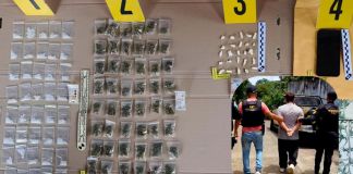 Alias "Canche Loco" capturado tras allanamiento por narcomenudeo. Foto La Hora: PNC