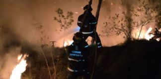 Archivo de Bomberos atendiendo incendio forestal en Quiché. Foto La Hora: Conred