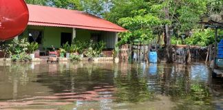 Archivo de emergencia por lluvia tras remanente de depresión tropical Cristina. Foto La Hora: Conred
