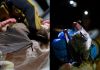 Noche Murcielaguera: fecha, horario y todo lo que debes saber sobre esta experiencia nocturna. Foto La Hora: MuniGuate.