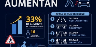 El 75% de los atropellamientos registrados cada mes ocurre en rutas y bulevares principales de la ciudad. Arte La Hora: Roberto Altán.