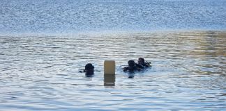 Hombres rana localizan vehículo que cayó en la Laguna de Ayarza; pasajeros aún no aparecen Hombres rana realizando búsqueda de vehículo que cayó en la Laguna de Ayarza. Foto La Hora: Bomberos Voluntarios