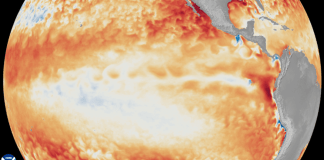 EE. UU. oficializa desde hoy la presencia del fenómeno de El Niño y se intensificará en el invierno EE. UU. oficializa desde hoy la presencia del fenómeno de El Niño y se intensificará en el invierno