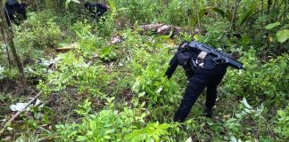 Erradican plantación de arbustos de coca con un avalúo aproximado de Q3.2 millones Erradicación de arbusto de hojas de coca en un área boscosa del caserío Santa Rosita, El Chal, Petén. Foto La Hora: Mingob