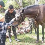 Anuncian actividades por el Día del Ejército. Foto: archivo Ejército de Guatemala.