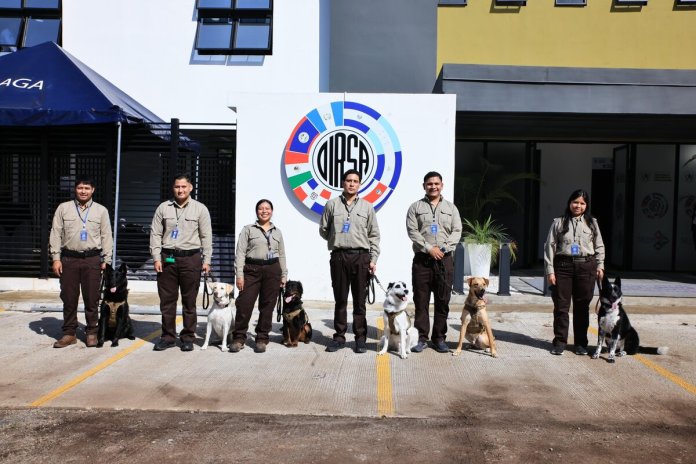 MAGA (1) Binomios caninos reforzarán controles en el Aeropuerto La Aurora contra plagas y enfermedades. Foto La Hora: MAGA.