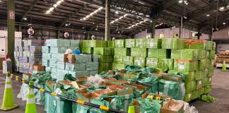Más de 30 millones de cigarrillos sin declarar en Puerto Quetzal; evasión fiscal se estima en Q9.5 millones Más de 30 millones de cigarrillos sin declarar en Puerto Quetzal; evasión fiscal se estima en Q9.5 millones