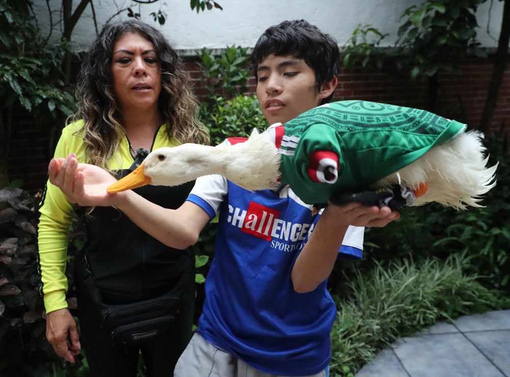 De vendedor ambulante a estrella global: Merlín es la sensación con alas del Mundial 2