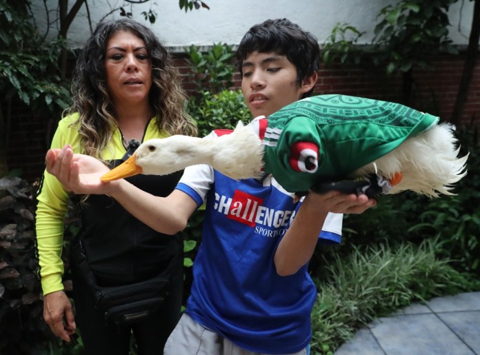 Karla Gómez y su hijo Cristian posan con su pato Merlín se han convertido en el centro de atención en el Mundial 2026. Foto La Hora: EFE