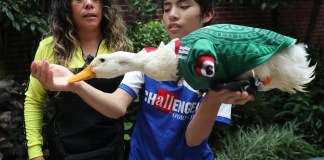 Karla Gómez y su hijo Cristian posan con su pato Merlín se han convertido en el centro de atención en el Mundial 2026. Foto La Hora: EFE