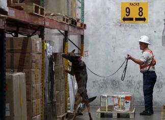 Programa K9 realizando un proceso de rutina en Puerto Quetzal. Foto La Hora: Captura de pantalla