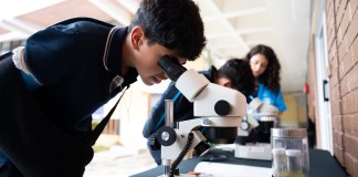 ¿Qué son los Rescue Rangers, la iniciativa en la que participaron más de 2 mil estudiantes de Guatemala