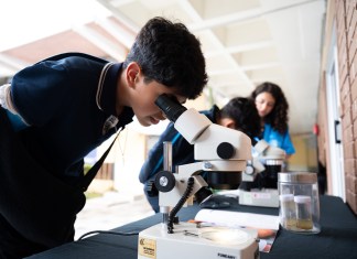 ¿Qué son los Rescue Rangers, la iniciativa en la que participaron más de 2 mil estudiantes de Guatemala? ¿Qué son los Rescue Rangers, la iniciativa en la que participaron más de 2 mil estudiantes de Guatemala