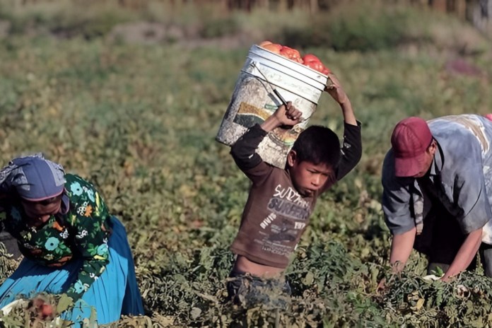 Gobierno buscará nuevas estrategias para erradicar el trabajo infantil tras un informe enviado por Estados Unidos.