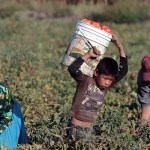 Gobierno buscará nuevas estrategias para erradicar el trabajo infantil tras un informe enviado por Estados Unidos.