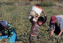 Gobierno buscará nuevas estrategias para erradicar el trabajo infantil tras un informe enviado por Estados Unidos.