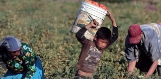 Gobierno buscará nuevas estrategias para erradicar el trabajo infantil tras un informe enviado por Estados Unidos.