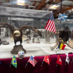 El Mundial 2026, pero con aves. Foto: Museo WFVZ.
