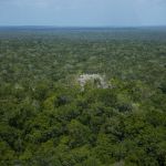 La destrucción de carreteras y pistas clandestinas en áreas protegidas de Petén ha hecho que el Conap sea amenazado. Foto La Hora: Biosfera Maya Peten Guatemala