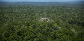 Amenazan a personal e infraestructura del Conap tras desmantelar carreteras y pistas ilegales en la Biosfera Maya La destrucción de carreteras y pistas clandestinas en áreas protegidas de Petén ha hecho que el Conap sea amenazado. Foto La Hora: Biosfera Maya Peten Guatemala
