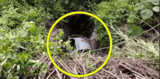 Un camión cayó este domingo a un barranco en el kilómetro 11.8 de la ruta CA-9 Sur, en la bajada de Villalobos. FOTO: Amílcar Montejo