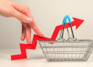 Cebolla, tomate y otras verduras encarecen la Canasta Básica Alimentaria en agosto El INE reporta un incremento en el costo de la Canasta Básica Alimentaria y la Canasta Ampliada.