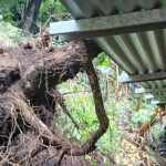 El departamento de Jutiapa registró una serie de emergencias tras las lluvias de las últimas horas a consecuencia de los remanentes de la tormenta Cristina. Foto La Hora: Conred