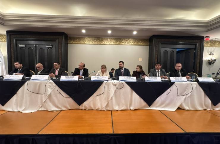 Partidos políticos cuestionar al Tribunal Supremo Electoral (TSE) por campaña anticipada y pago de pauta por parte de precandidatos.