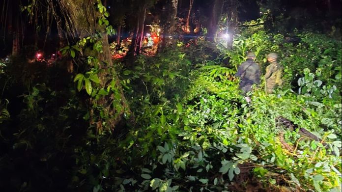 Elementos antinarcóticos de la PNC y del Ejército destruyeron la plantación de hoja de coca encontrada en una comunidad de Ixcán, Quiché.