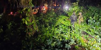 Destruyen 40 mil 200 arbustos de hoja de coca que estaban en fase de aprovechamiento en Ixcán, Quiché Elementos antinarcóticos de la PNC y del Ejército destruyeron la plantación de hoja de coca encontrada en una comunidad de Ixcán, Quiché.