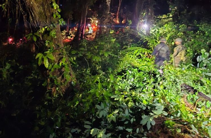 Elementos antinarcóticos de la PNC y del Ejército destruyeron la plantación de hoja de coca encontrada en una comunidad de Ixcán, Quiché.