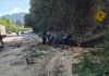 Despejan vía tras deslizamiento de tierra y desplome de árbol en el kilómetro 24 de las ruta Interamericana Socorristas y personal de la municipalidad de Mixco despejaron la vía tras la emergencia registrada. Foto La Hora: municipalidad de Mixco