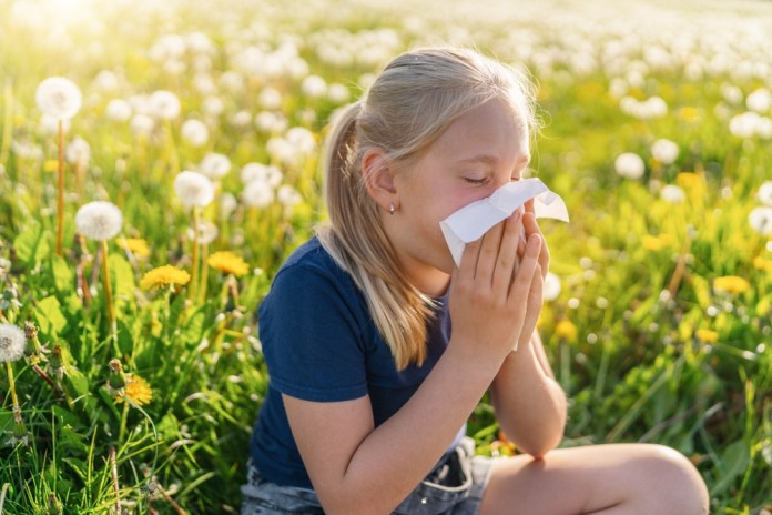 Los contaminantes, la alimentación y el entorno cambiante influyen en las alergias. Foto: r.classen/Shutterstock.
