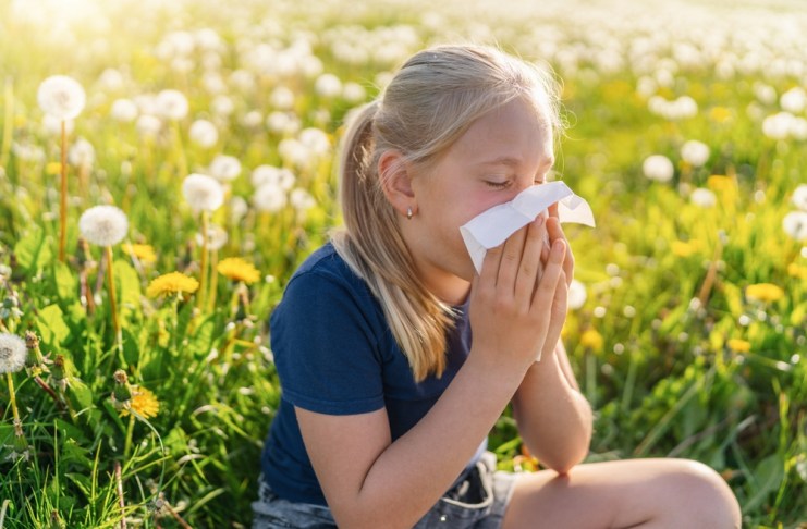 Los contaminantes, la alimentación y el entorno cambiante influyen en las alergias. Foto: r.classen/Shutterstock.
