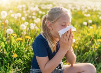 Estos factores influyen en que haya más alergias Los contaminantes, la alimentación y el entorno cambiante influyen en las alergias. Foto: r.classen/Shutterstock.