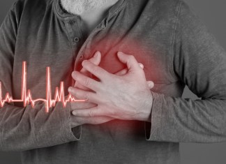 Corazón de piedra: cuando una estrategia de supervivencia termina causando daño cardíaco La hipertrofia del corazón tiene dos vertientes, siendo la patológica una peligrosa. Foto: New Africa / Shutterstock.